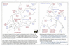 sto147 dusky_thumb.gif